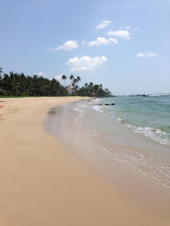 Jayanthi Surf Dreams Hotel Midigama Exterior photo